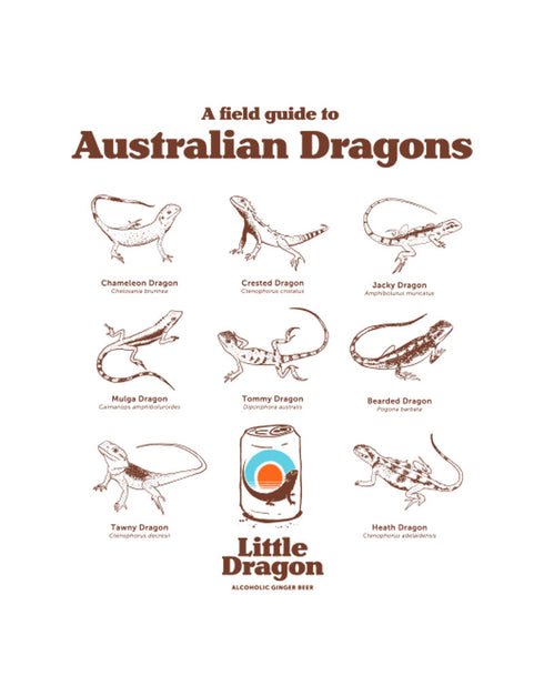 Little Dragon Field Guide Tee